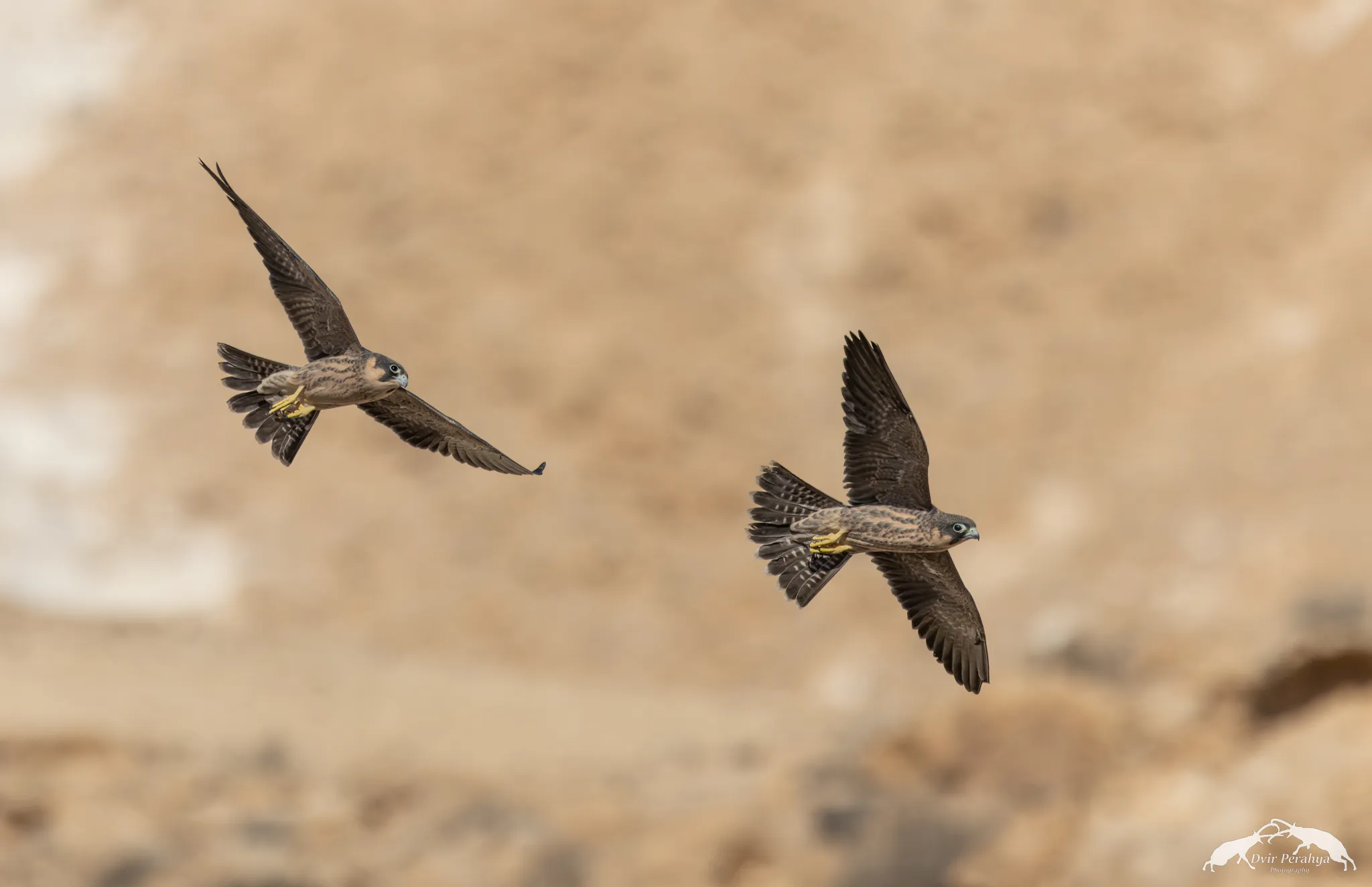 Tel Dor beach at sunset